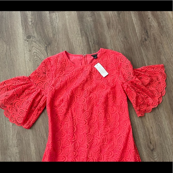 ANN TAYLOR Coral Pink Lace Ruffle Bell Sleeve Dres - Picture 5 of 14